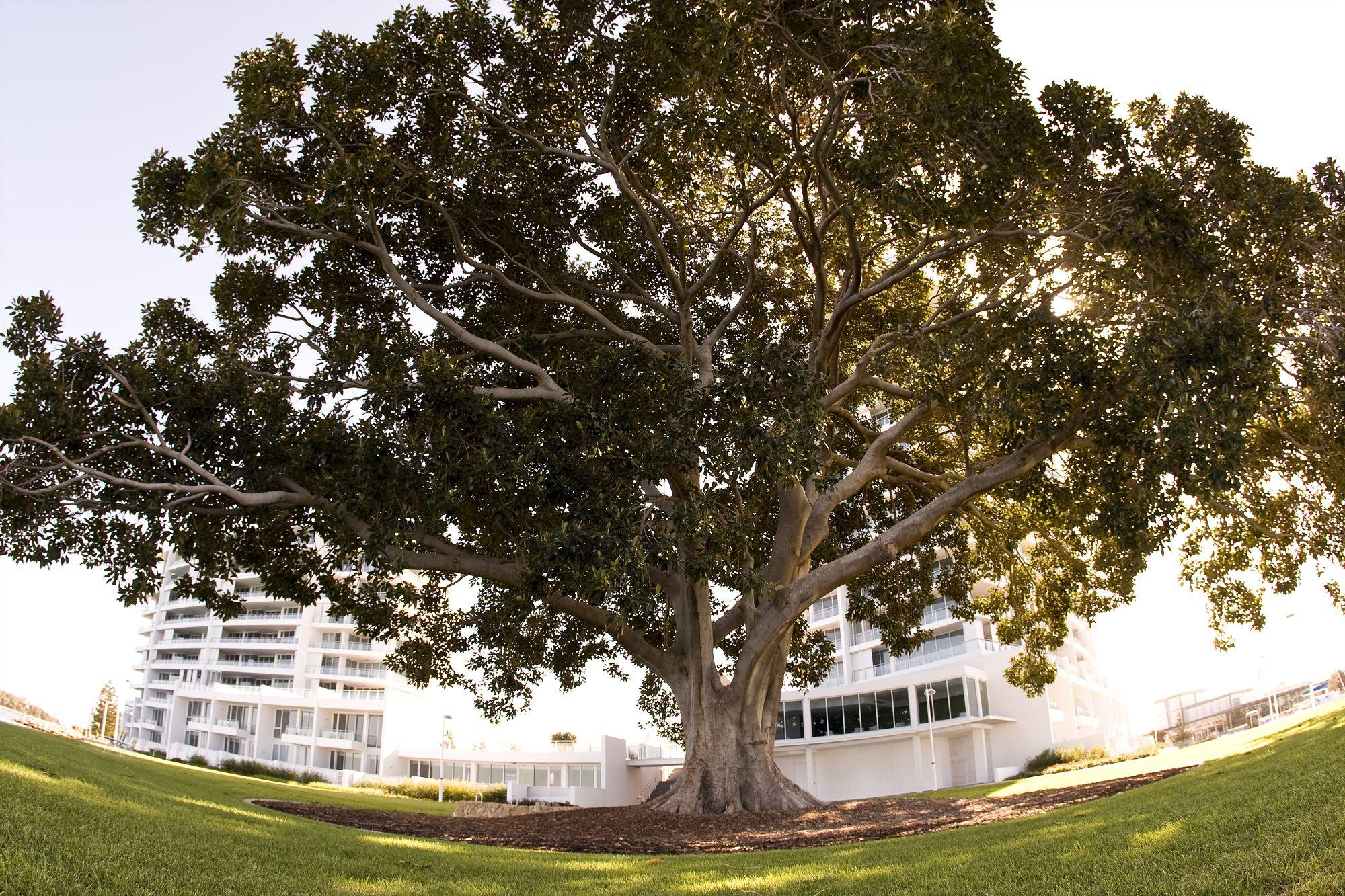 The Sebel Mandurah Exterior foto